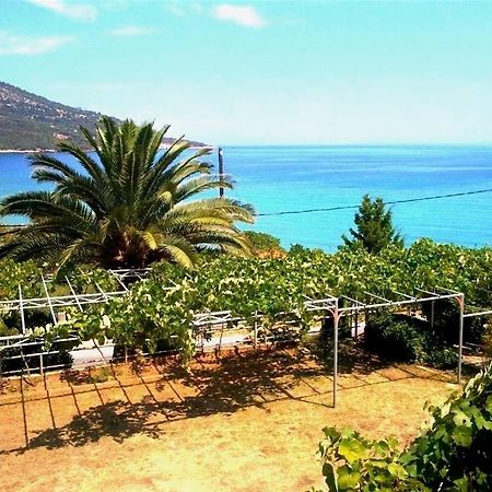 Hotel Kinira المظهر الخارجي الصورة