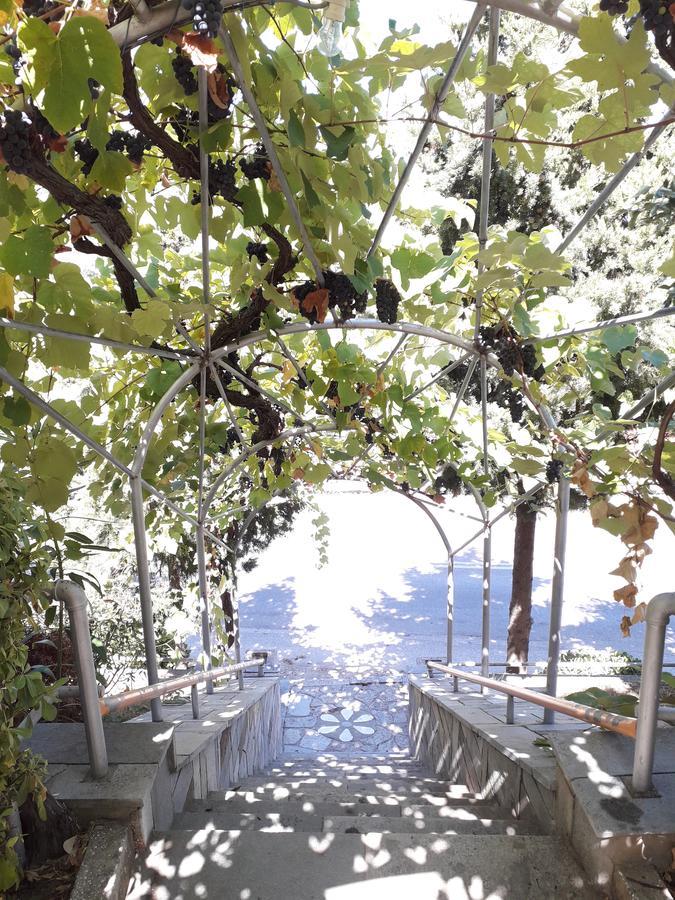 Hotel Kinira المظهر الخارجي الصورة